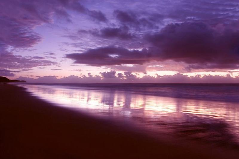 الشقق الفندقية Mantra French Quarter Noosa المظهر الخارجي الصورة